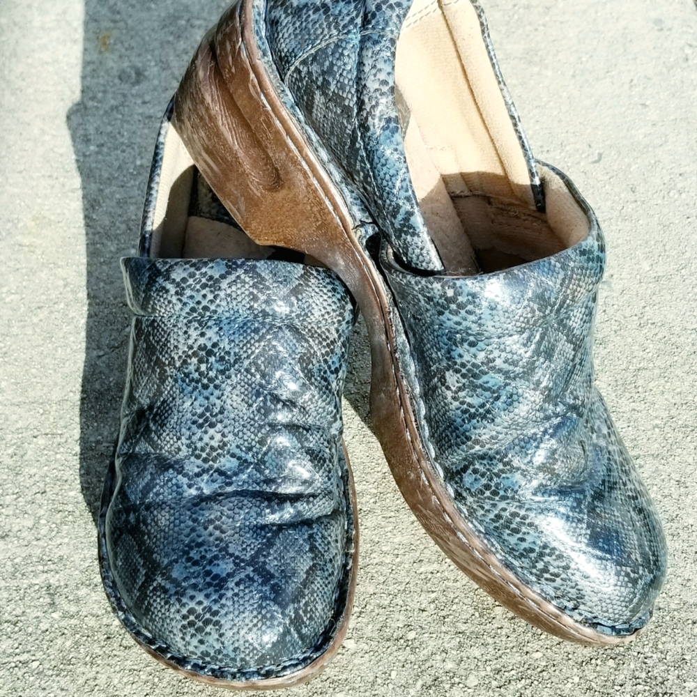 BOC Blue Clogs